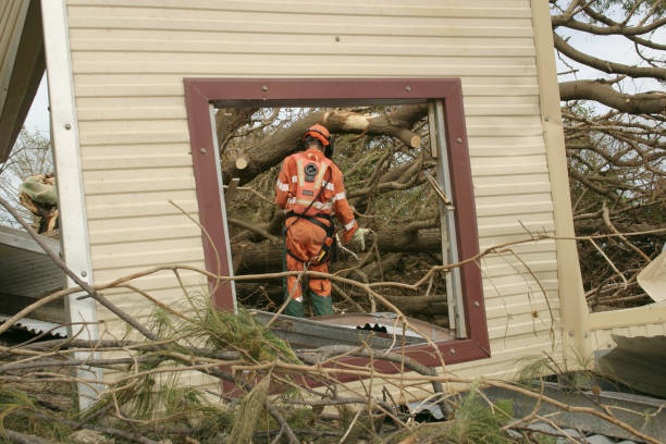 Best Hazardous Tree Removal  in Pikesville, MD